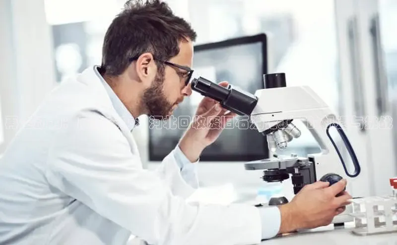 BV伟德国际官方网站